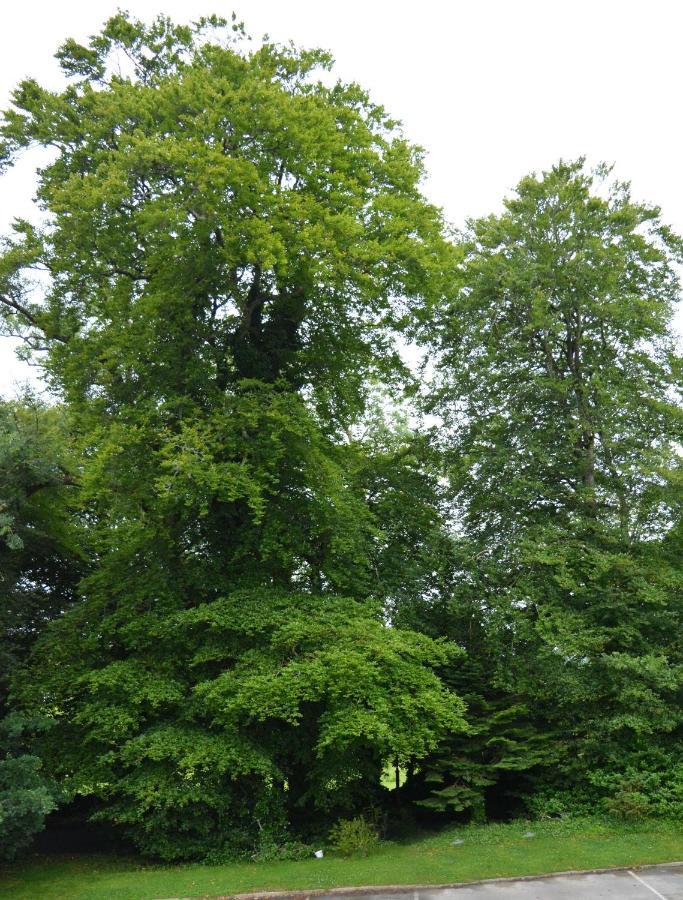 The Courtyard, Castle Dargan * Ballygawley